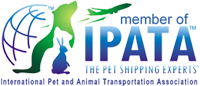 IPATA MEMBER